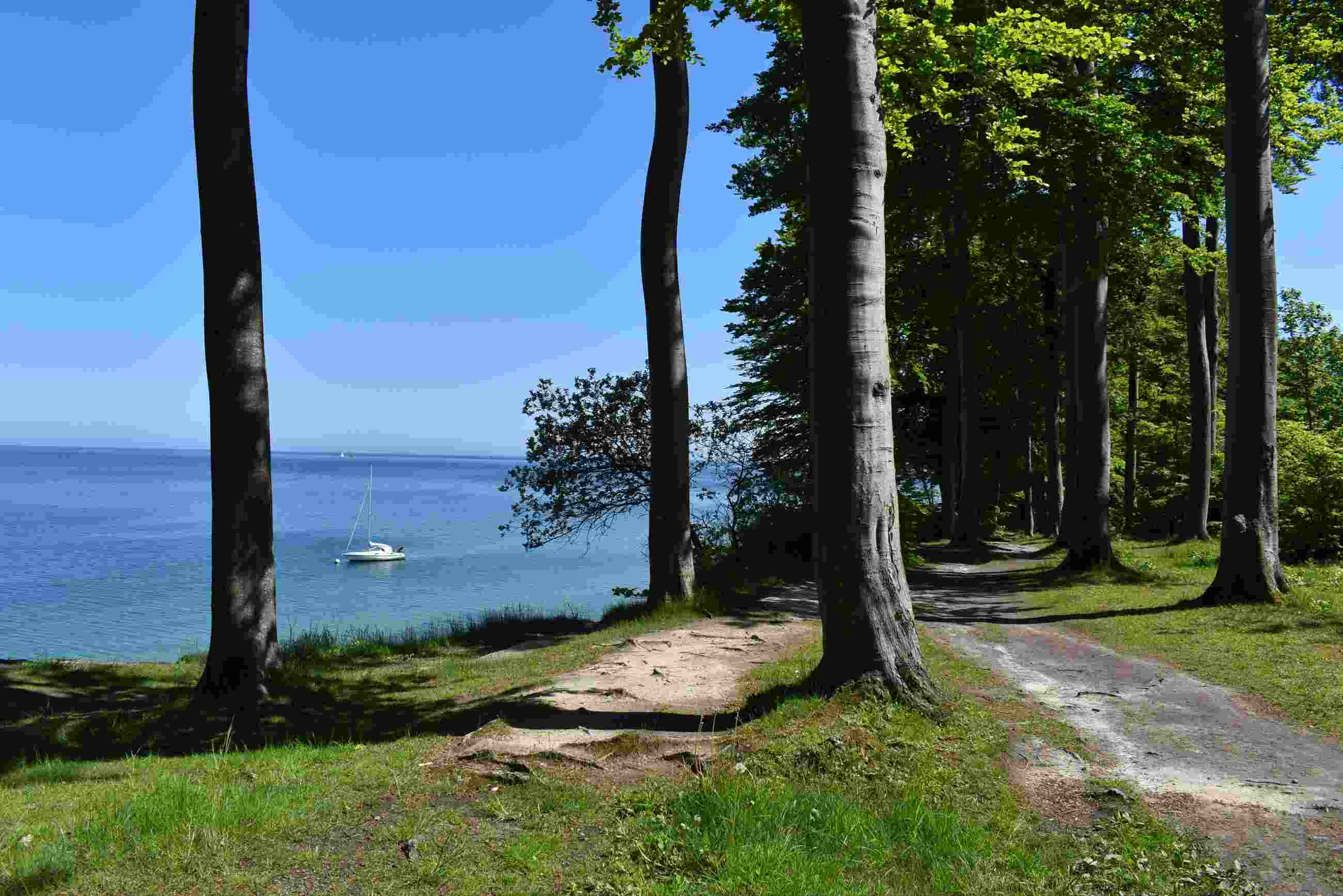 De natuur in Kerteminde