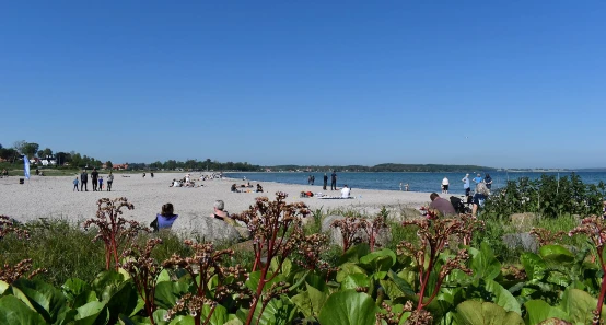 Nordstrand in Kerteminde